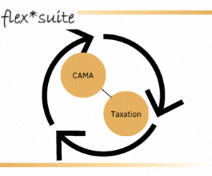 Our Software